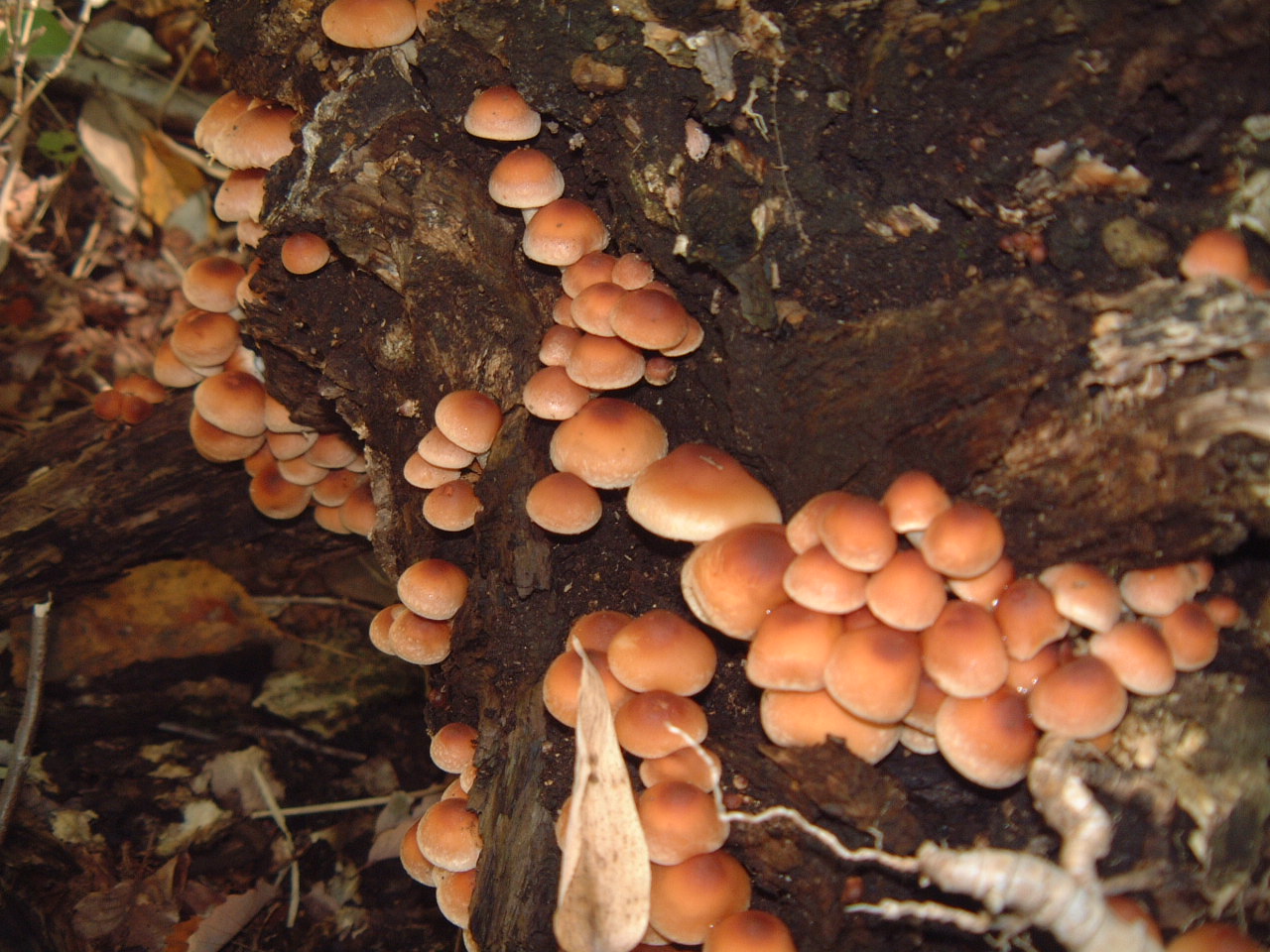 c0237780_210671.jpg
