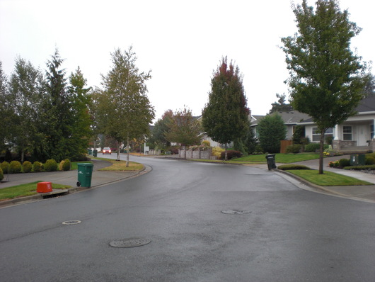 f0112080_1436301.jpg