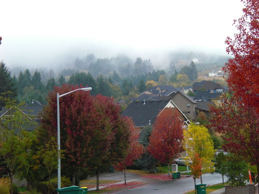 f0112080_14515349.jpg