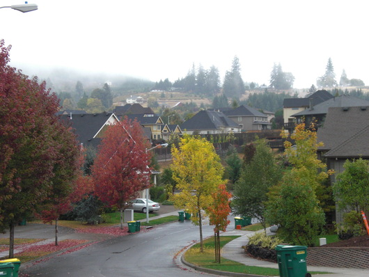f0112080_1452221.jpg