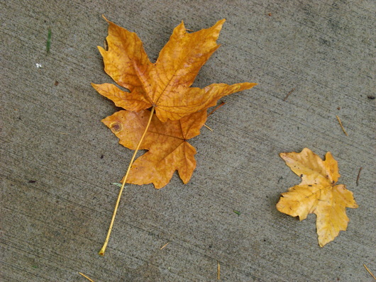 f0112080_14531332.jpg