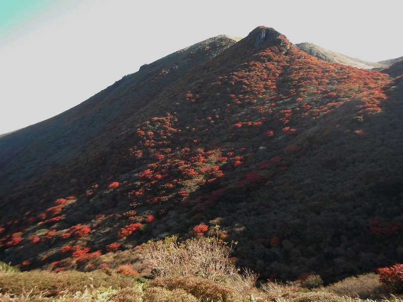 f0082181_022153.jpg