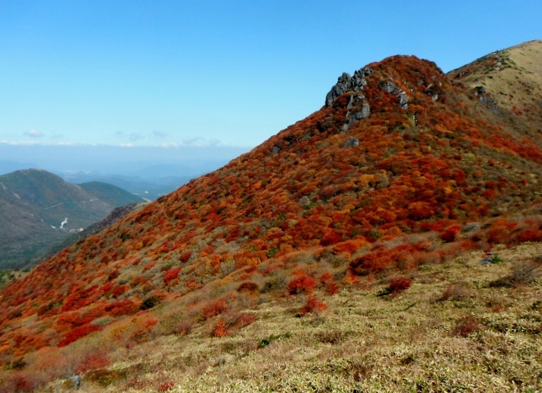 f0082181_0251789.jpg
