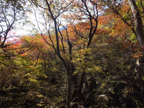 f0082181_0385550.jpg