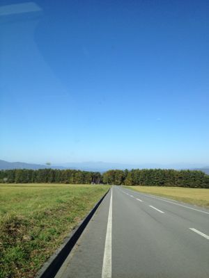 d0142182_1211750.jpg