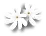 a0262183_013056.gif