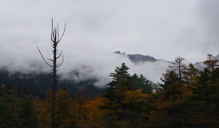 c0144185_2219947.jpg