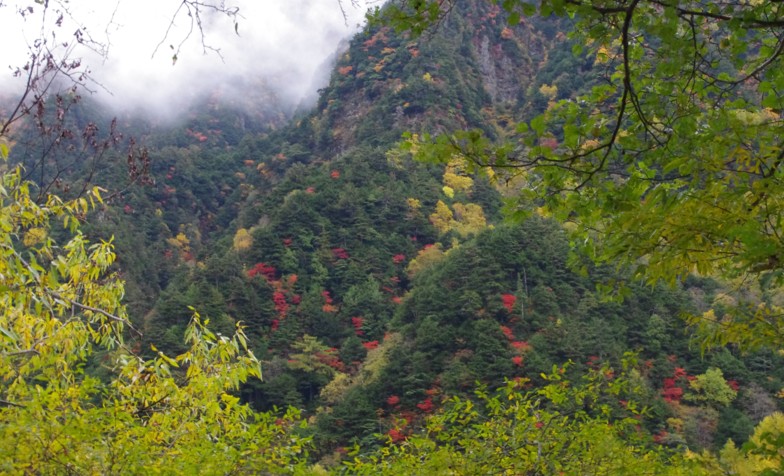 c0144185_22213691.jpg