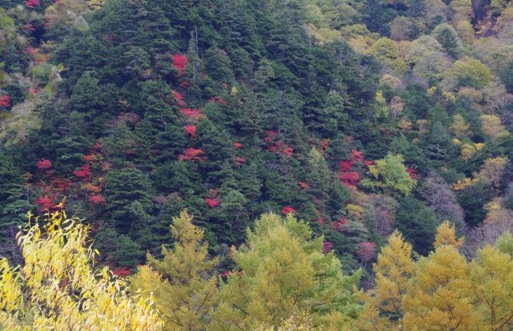 c0144185_22214237.jpg