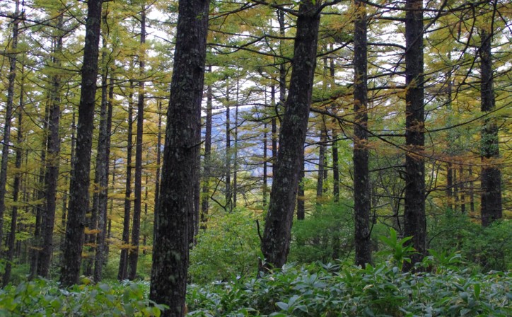 c0144185_2312961.jpg