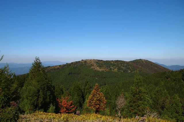 b0108186_2357208.jpg