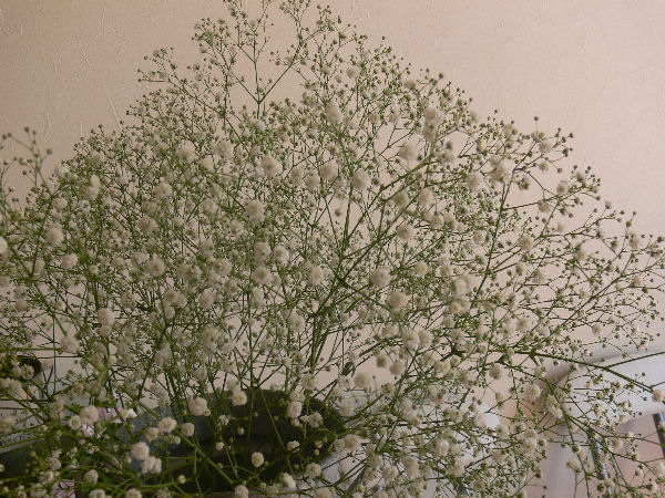 e0140986_14432353.jpg