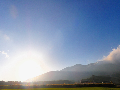 d0242287_22403187.jpg