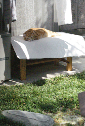 c0193788_10174216.gif