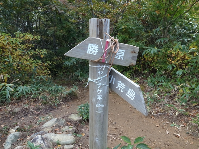 e0271890_146646.jpg