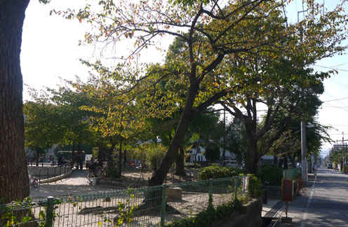 f0222692_15122144.jpg