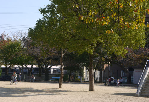 f0222692_15335464.jpg