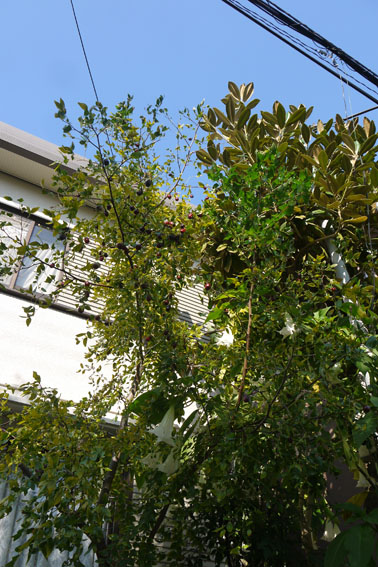 f0222692_1583992.jpg