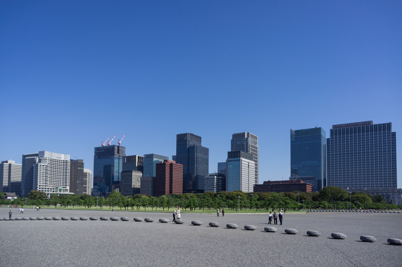 a0185693_6164277.jpg