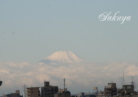 e0122194_13251729.jpg