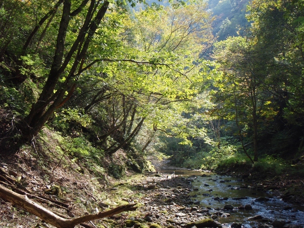 b0039898_1514875.jpg