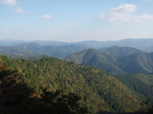 b0039898_15162542.jpg