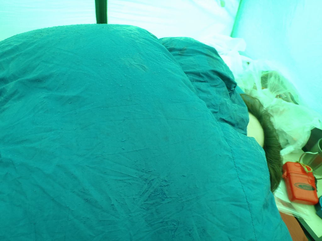c0147398_13328100.jpg