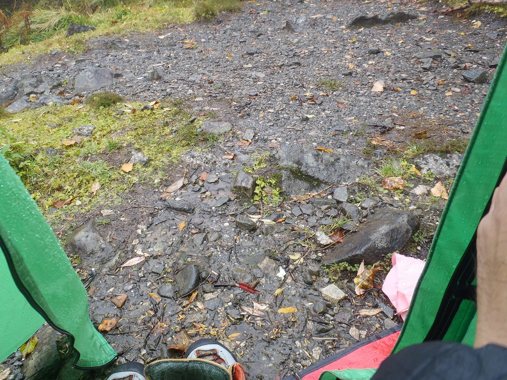 c0147398_1341371.jpg