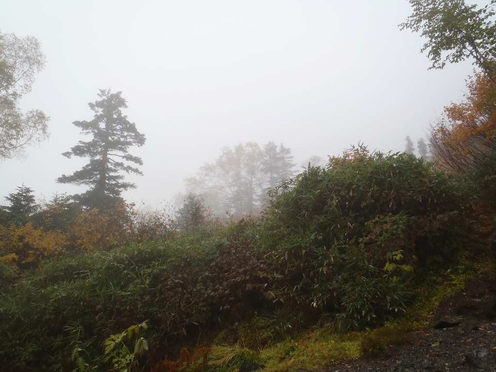 c0147398_1342520.jpg