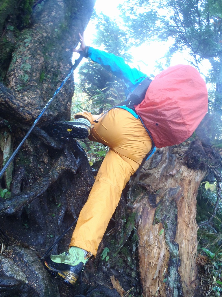 c0147398_1353834.jpg