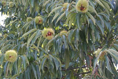 a0134004_2128767.jpg