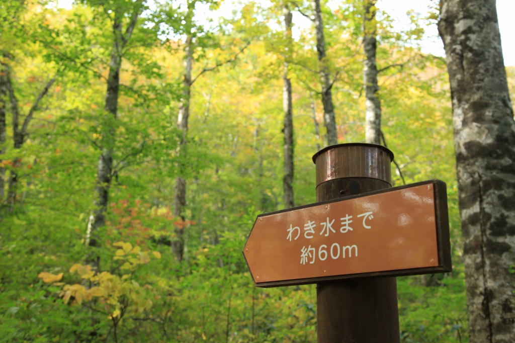 b0050305_20292456.jpg