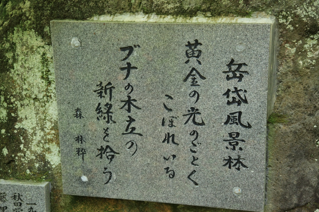 b0050305_20301184.jpg