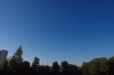 e0145805_1736107.jpg