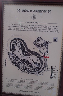 e0145805_1739123.jpg