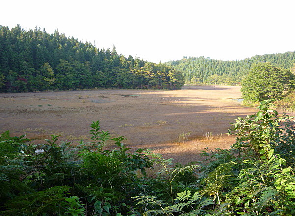 a0214206_1437731.jpg