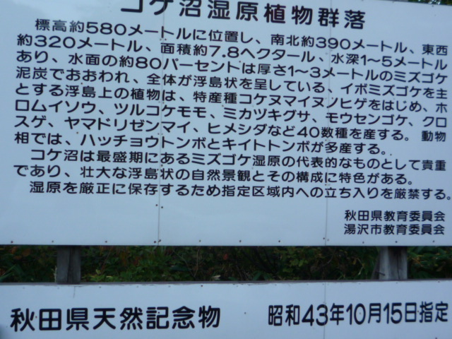 a0214206_14413451.jpg