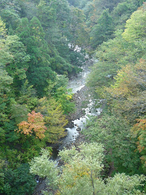 a0214206_1444641.jpg