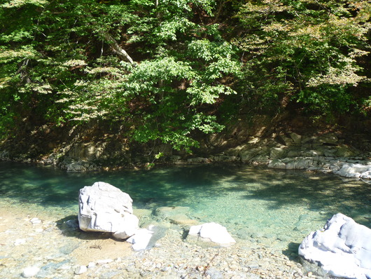 a0298406_9475987.jpg