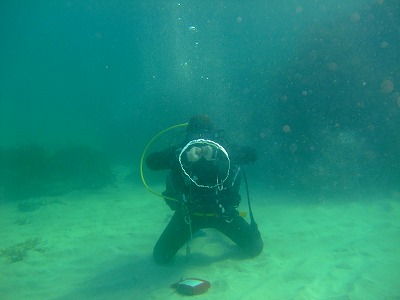 b0062010_1241364.jpg