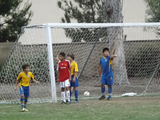 a0144811_718349.jpg