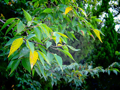 b0133911_11595839.jpg