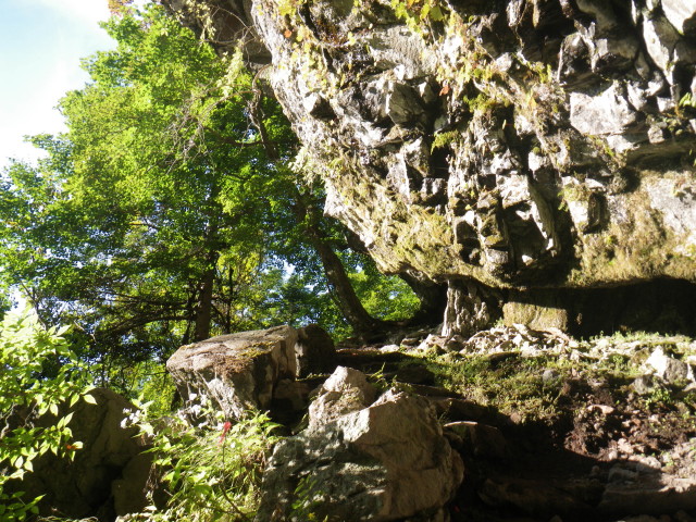 d0006512_20331765.jpg