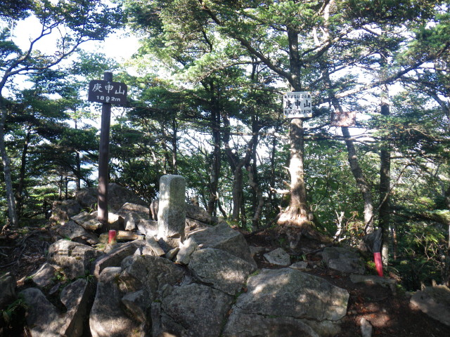 d0006512_20451188.jpg