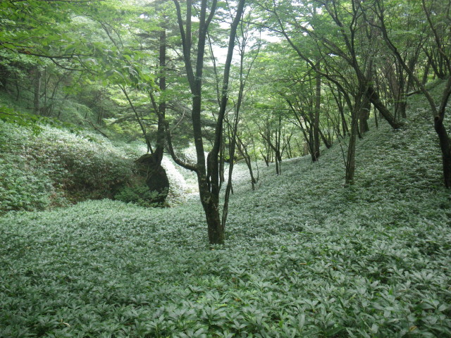 d0006512_2052458.jpg