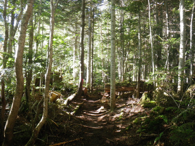 d0006512_21283428.jpg