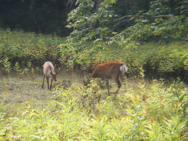d0006512_2136071.jpg
