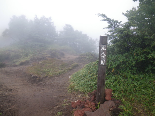 d0006512_2223780.jpg