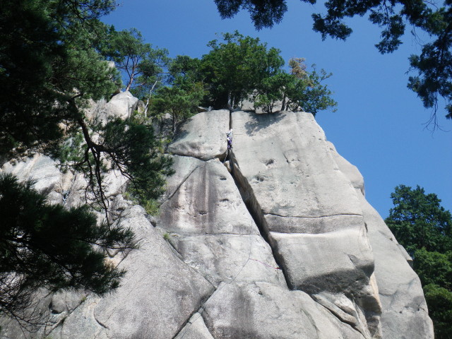 d0006512_22343122.jpg
