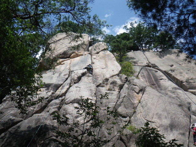 d0006512_22361121.jpg